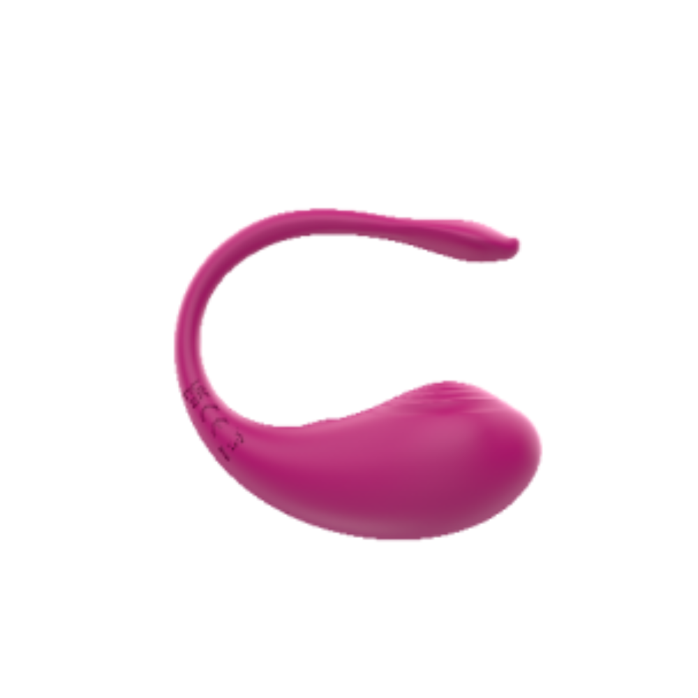 新建项目 (5) 新建项目 5